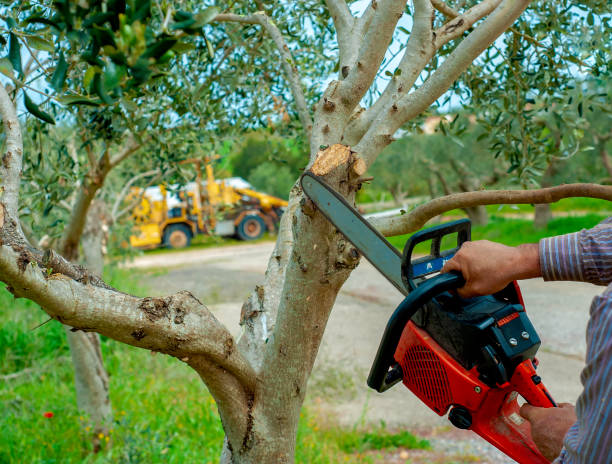 Best Commercial Tree Services  in Johnson, AR